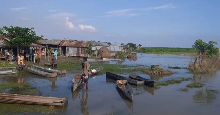 কুষ্টিয়ায় বন্যা